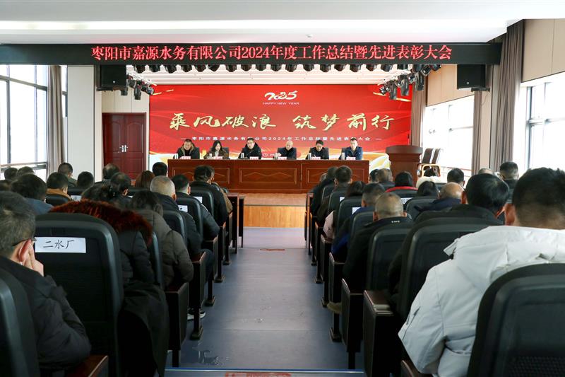 公司2024年度工作总结暨先进表彰大会召开